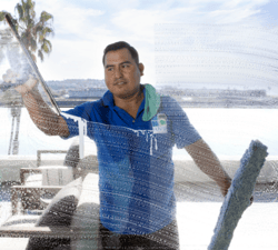 Window Washing