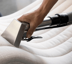 Upholstery and carpet cleaning